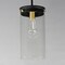 Maxim Lighting Pinn Large Single Pendant 12408CLBKSBR - alternate 4